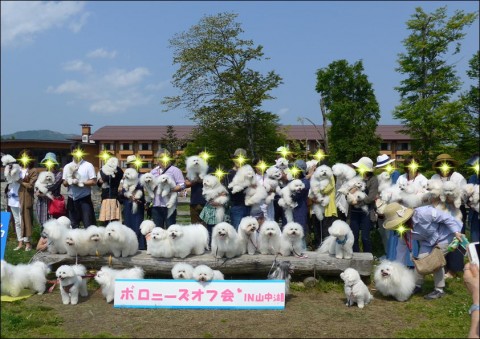 集合写真